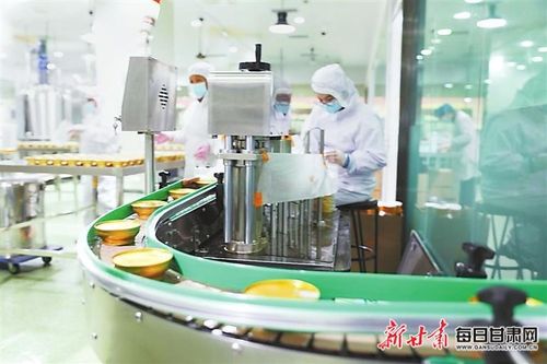 科技赋能 种源革新 榆中县推动兰州百合产业提质增效